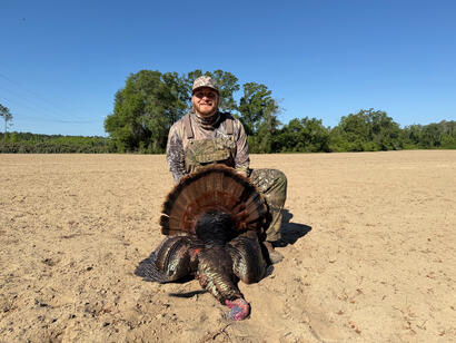 Turkey Hunt